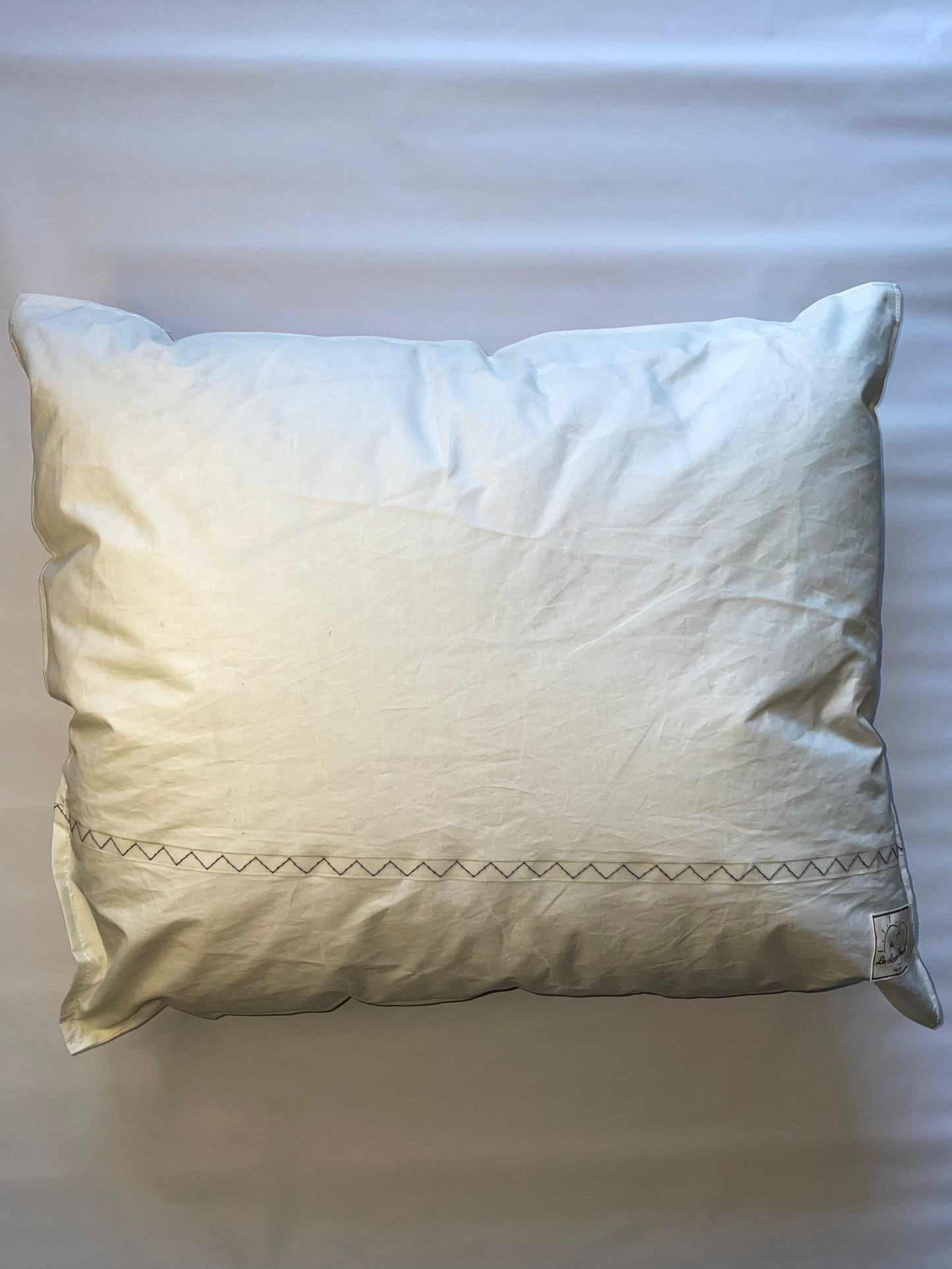 Le Coussin de l'Optimist numéro 1981