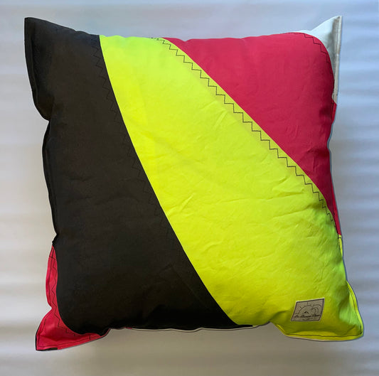 Le coussin haut en couleur de Twixxy