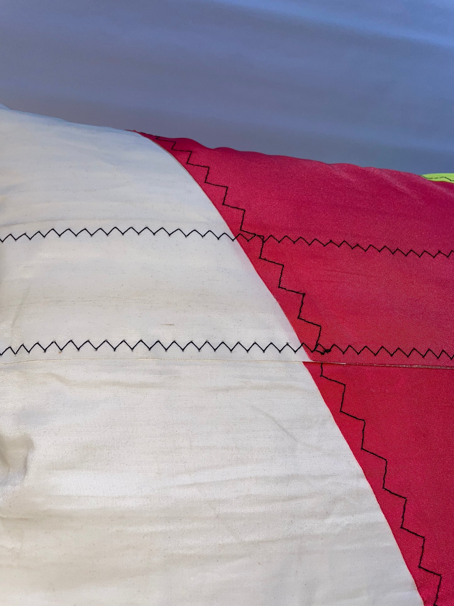 Le coussin haut en couleur de Twixxy