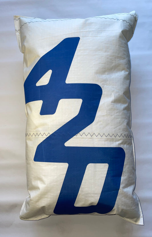 Le coussin 420