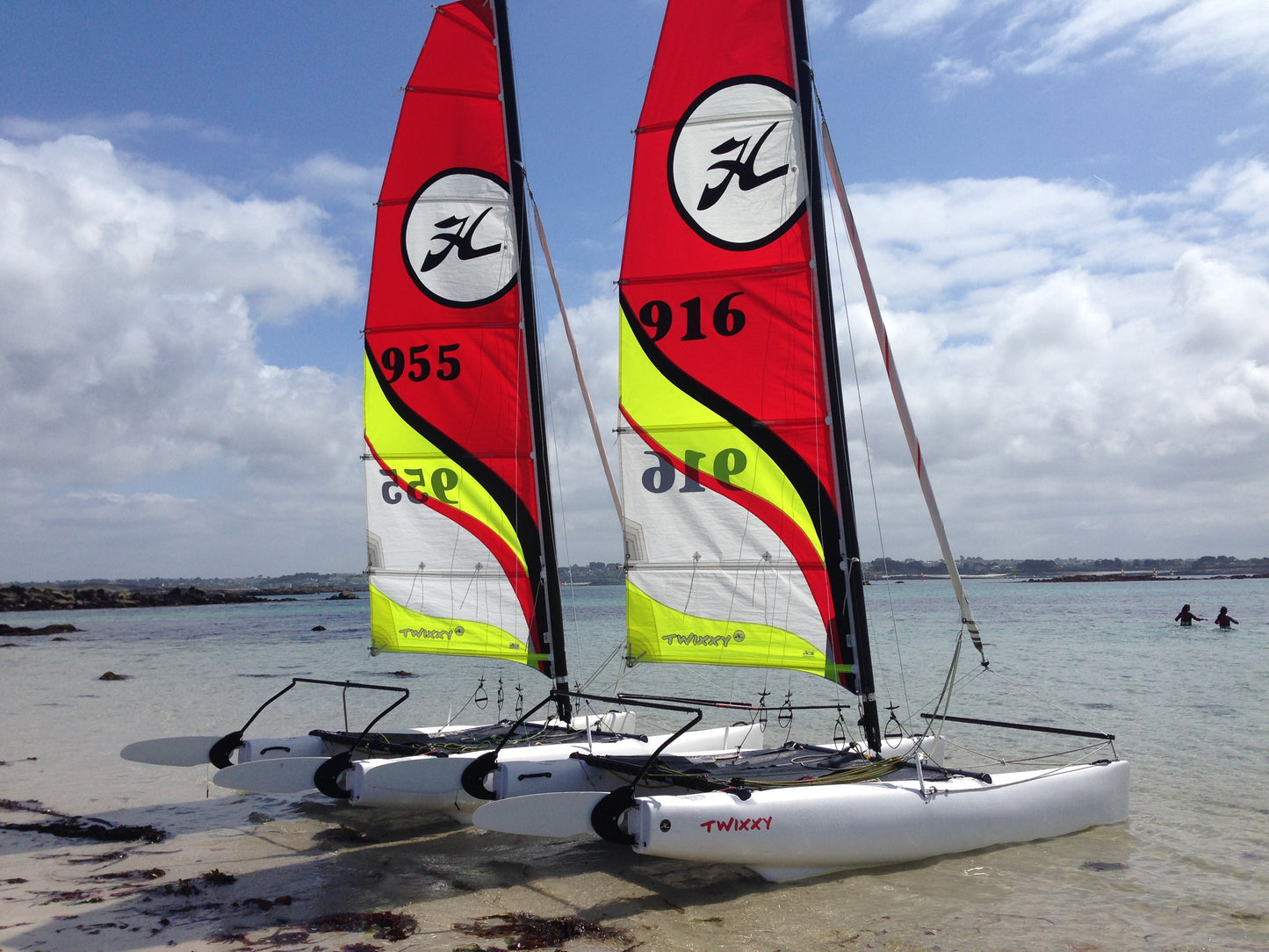 Le coussin haut en couleur de Twixxy